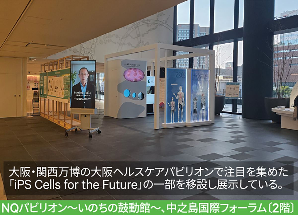 NQパビリオン~いのちの鼓動館~、中之島国際フォーラム〔2階〕