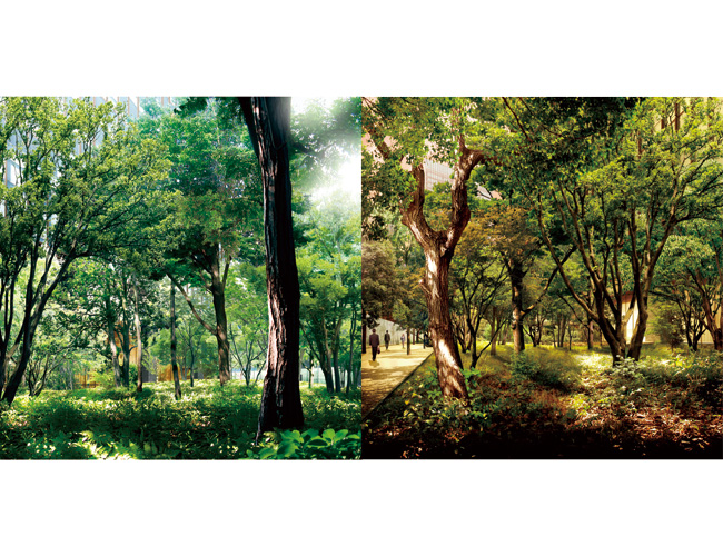 オフィスビルの環境対策 第7回:図17( 仮称)大手町の森 完成予想CG