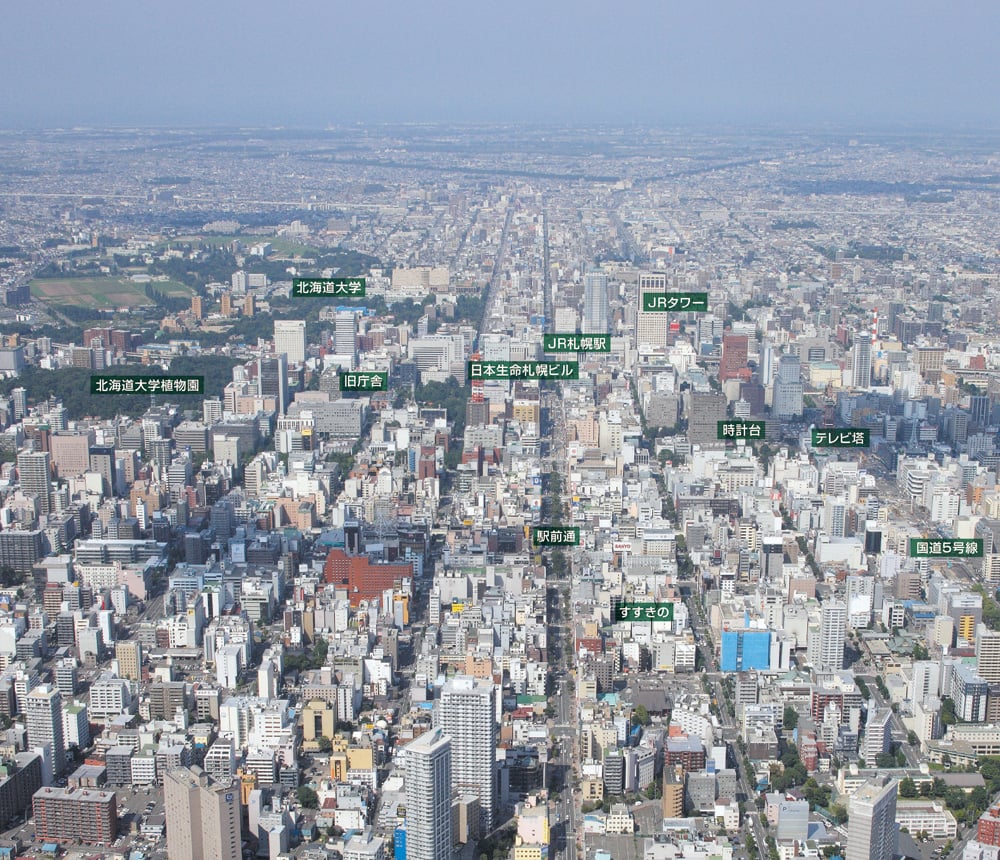 全国主要都市ビジネスゾーンガイド 札幌 航空写真