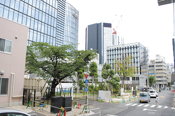 ワテラスタワー淡路公園予定地　現在の様子