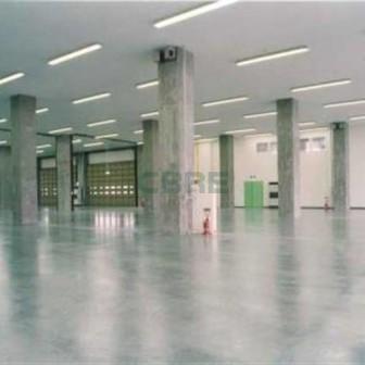 基準階 内観