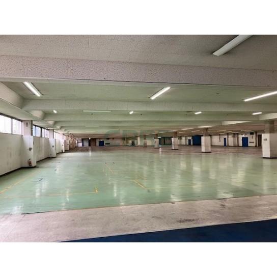 基準階 内観