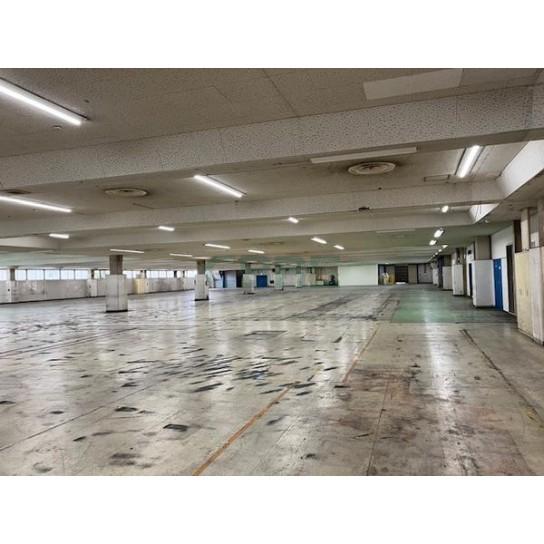 基準階 内観