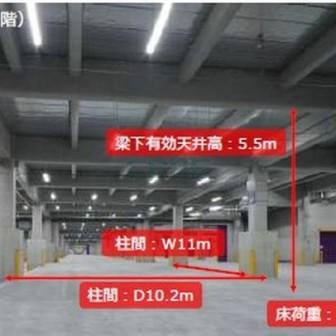 基準階 内観