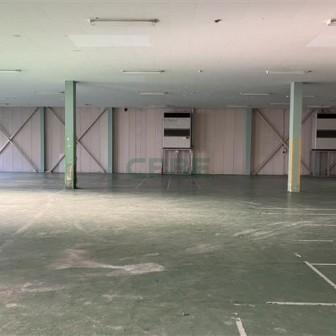 基準階 内観