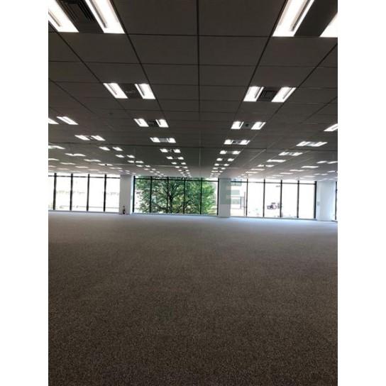 基準階 内観