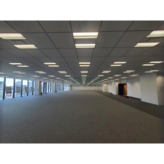 Img 12