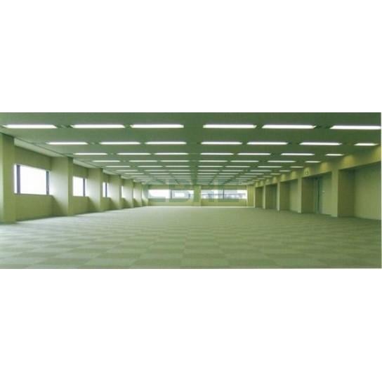 基準階 内観
