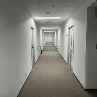 基準階 内観