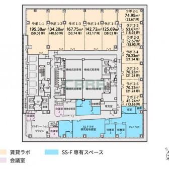 基準階 平面図