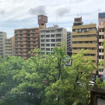 基準階 内観