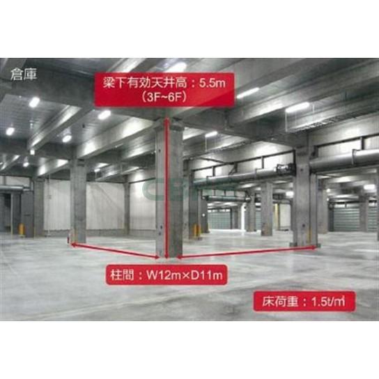 基準階 内観
