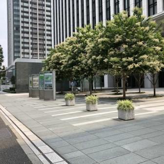 建物前面スペース