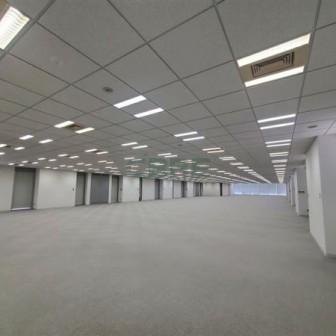 基準階 内観