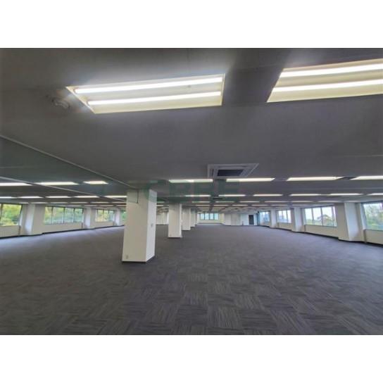 基準階 内観