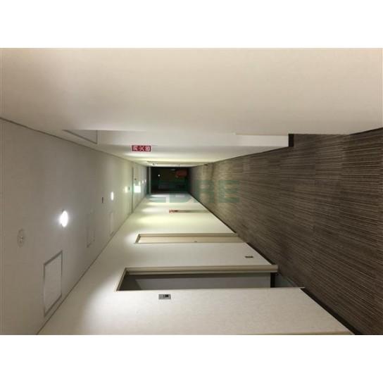 基準階 内観
