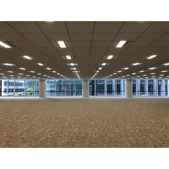 基準階 内観