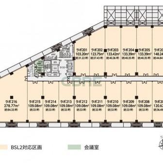 基準階 平面図