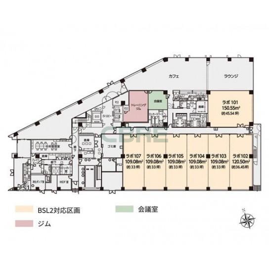 基準階 平面図