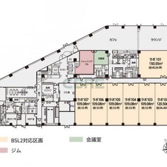 基準階 平面図