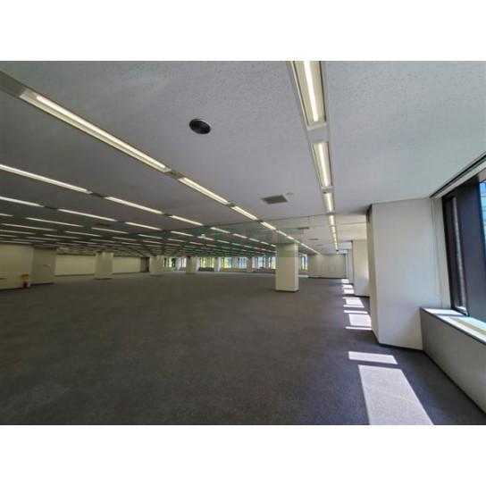 基準階 内観