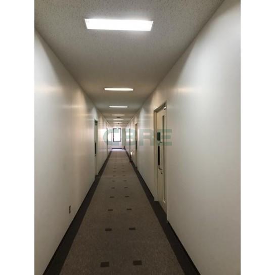 基準階 内観