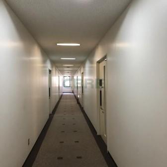 基準階 内観