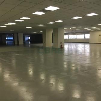 基準階 内観