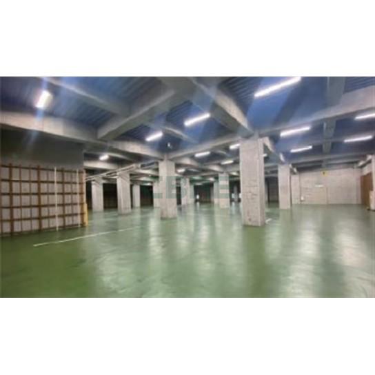 基準階 内観