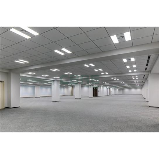 基準階 内観