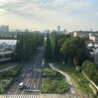 基準階 内観