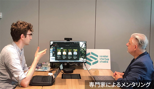 専門家によるメンタリング