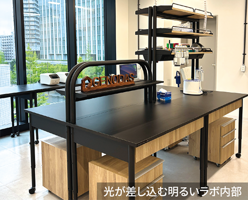 光が差し込む明るいラボ内部