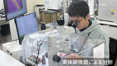実体顕微鏡による分析
